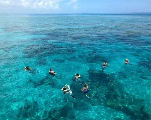 Key West sunset snorkel sail