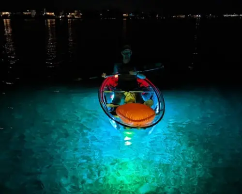 基韦斯特的夜光皮划艇体验