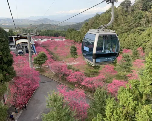 Add-on High Speed ​​Rail tickets for Up to 25% Off| Nantou 2-Day High Speed ​​Rail Holiday Tour | Nantou Formosan Aboriginal Cultural Village, Sun Moon Lake Cruise & Round-Trip High Speed ​​Rail Tickets | High Speed ​​Rail Holiday
