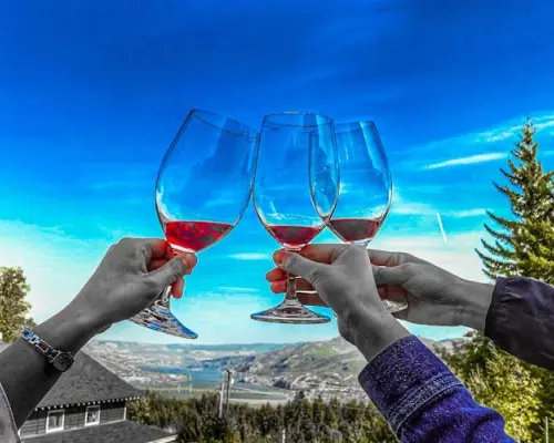 Oregon wine tasting tour