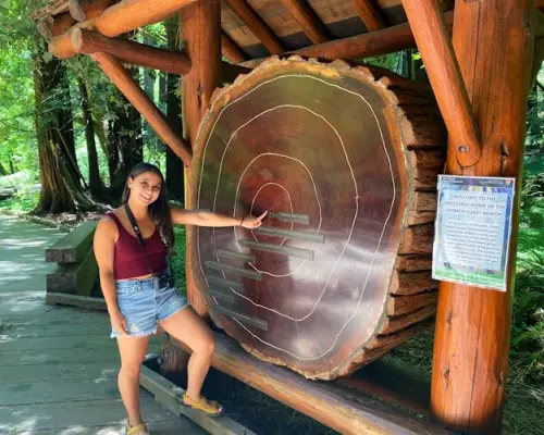 Private city, Muir Giant Redwoods and Sausalito convertible jeep tour