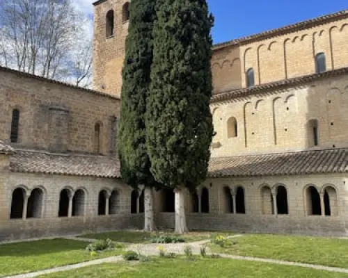 Terrasses du Larzac full day olive oil and wine experience