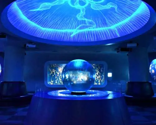 [Direct entry from the entrance!] Enoshima Aquarium Online ticket reservation