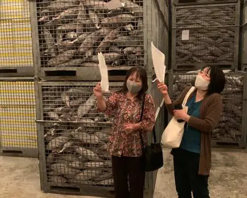 Visitors at the Kagoshima Ibusuki katsuobushi factory experience the -50°C freezer, feeling the extreme cold surrounded by shelves stacked with fresh bonito.