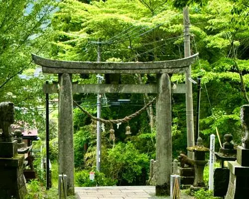 Cổng torii đá cổ kính đứng sừng sững trong rừng cây xanh tươi, hai bên có sư tử đá bảo vệ, đánh dấu lối vào một ngôi đền linh thiêng.
