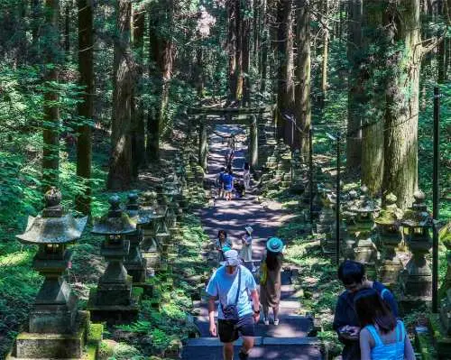 Con đường đá phủ đầy rêu phong uốn lượn, hai bên là vô số đèn lồng đá, xuyên qua khu rừng tĩnh mịch dẫn đến Đền Kamishikimi Kumanoza.