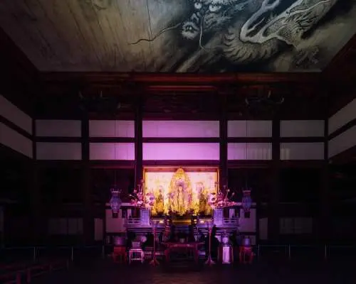 【最大500円引き】VIE presents ZEN NIGHT 京都 東福寺 プレミアム夜間拝観  入場チケット