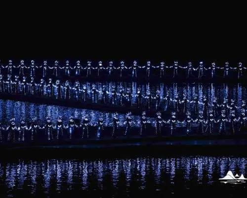 【中国】桂林《印象·刘三姐》山水实景演出门票