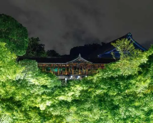 [Up to 500 yen off] VIE presents ZEN NIGHT Kyoto Tofuku-ji Temple Premium Nighttime Viewing Admission Ticket (Kyoto, Event)
