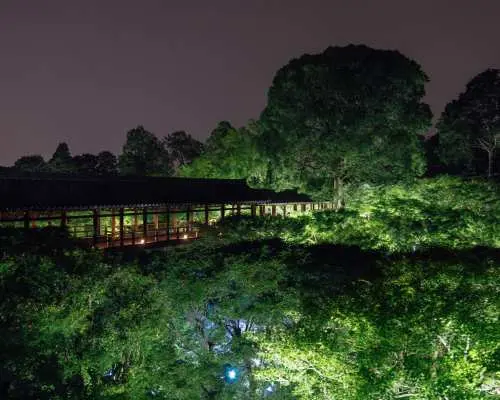 [Up to 500 yen off] VIE presents ZEN NIGHT Kyoto Tofuku-ji Temple Premium Nighttime Viewing Admission Ticket (Kyoto, Event)