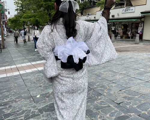 富士着物 奈良公園店 レース着物  近鉄奈良駅 / ならまち / 興福寺徒歩圏内