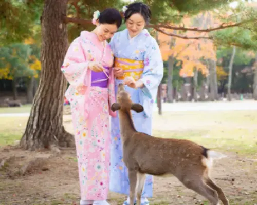 奈良・富士着物レンタル｜人気＆クイックヘア付きプラン｜荷物預かり無料・奈良公園まで徒歩圏内