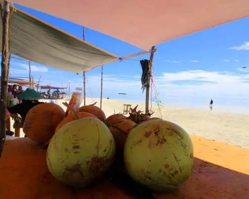 Tour tham quan đảo Panglao và ngắm cá heo ở Balicasag & Quần đảo Virgin (Bao gồm phiếu ăn miễn phí) | Philippines