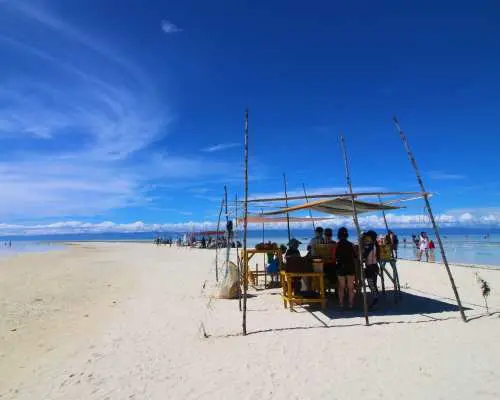 Tour tham quan đảo Panglao và ngắm cá heo ở Balicasag & Quần đảo Virgin (Bao gồm phiếu ăn miễn phí) | Philippines