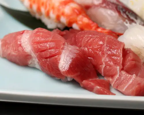 Toyosu, Tokyo | Izakaya Sushi Dokoro Yamazaki | Seat Reservation Only