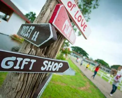 泰国华欣瑞士绵羊牧场门票｜Swiss Sheep Farm