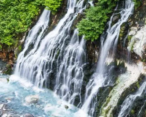 Hokkaido Day Tour from Sapporo: Asahiyama Zoo, Blue Pond & Shirahige Falls | Japan