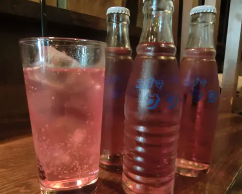 Jimbocho/Suidobashi, Tokyo | Sake Bar Sasa Gin |