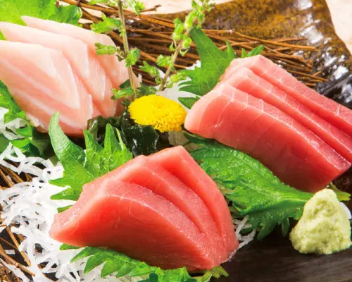 东京滨松町芝公园 | 烤鸡肉串金枪鱼总本家（金枪鱼总本家滨松町店）|仅座位预定