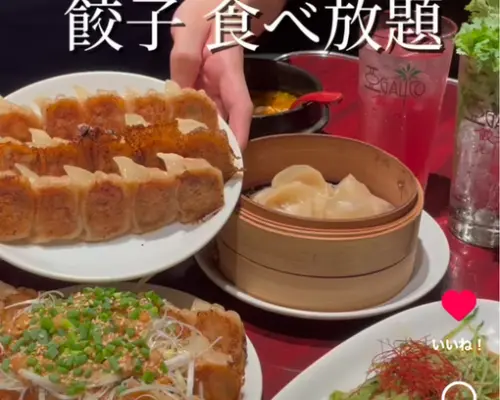 东京大冢/护国寺 | 饺子 Agarico 饺子楼大冢十号（Agarico 饺子楼大冢店）|仅座位预定