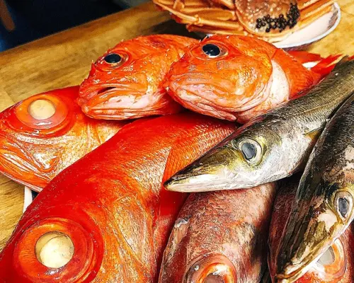 东京三轩茶屋 | 炉端烧Sakana To Sake Mekara Uroko（魚と酒 めから鱗）|仅座位预定