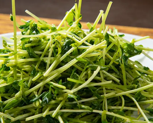 神田/御茶之水，东京 | 串烧Maruyasu Sakaba（マルヤス酒場 神田店）|仅座位预定