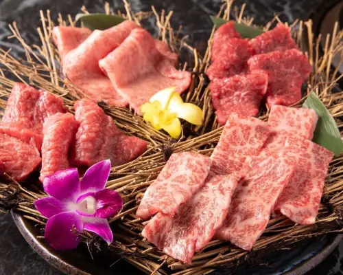 Asakusa, Tokyo | Izakaya Wagyu Yakiniku Asakusa Jiryu（和牛焼肉 浅草時流）| Seat Reservation Only