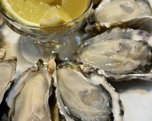 福岡縣中洲 | 居酒屋 Young Oyster |僅座位預定