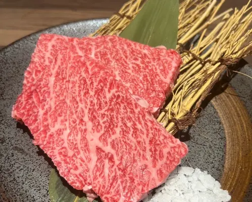 Honmachi/Senba, Osaka | Shabu-shabu Yakiniku Shin (Yakiniku Shin) | Seat Reservation Only