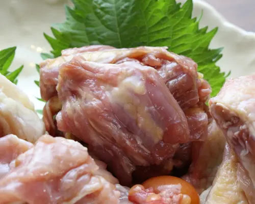 大阪府阿波座/西長堀｜烤肉地鳥烤肉Yogan Ya（地鳥烤肉Laiwaya阿波座店）|僅座位預定