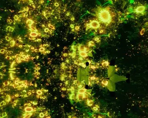 TeamLab Planets TOKYO Ticket