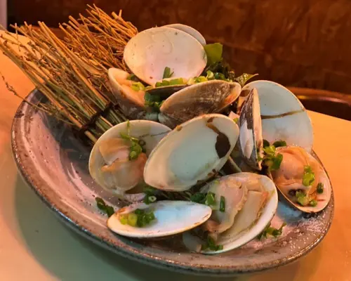 大阪府堺市 | 居酒屋 春齋海鮮 炭火烤雞肉串 Nomidokoro Taroyan（時令蔬菜、海鮮、炭火烤串店 Nomidokoro Taroyan） |僅座位預定