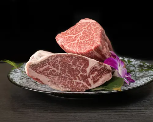 Osaka Prefecture Namba, Nihonbashi, Dotonbori | Seafood Teppan Kobo Panyo | Seat Reservation Only