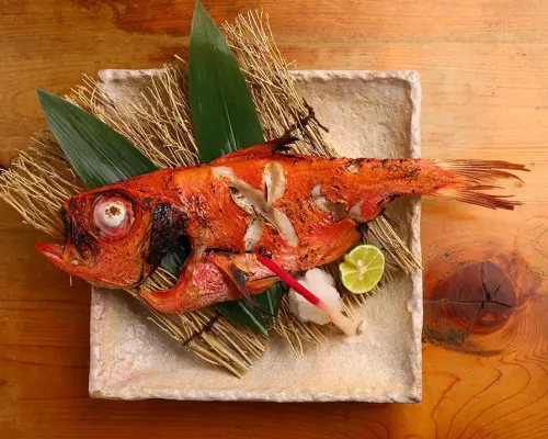 大阪府本町/船場｜酒吧九州鮮物市場和立（九州乾魚市場和立）｜僅座位預定
