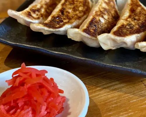Osaka Prefecture Honmachi-Senba | Izakaya Sunny Day Dumpling（Sunny Day Dumpling）| Seat Reservation Only