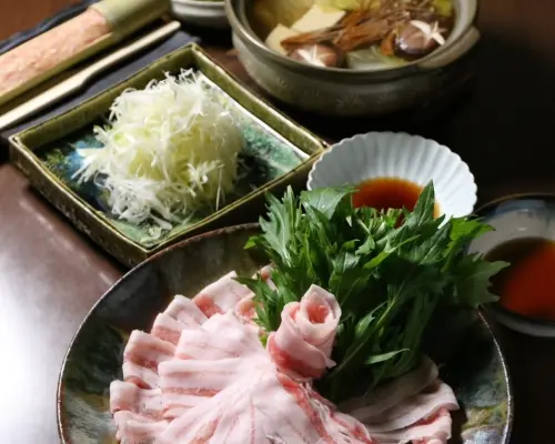 Osaka Prefecture Shinsaibashi, Minamisenba, Nagahoribashi | Pork Cutlet Rice Bowl Tonkatsu Butashabu Hizono（とんかつ 豚しゃぶ 樋ぞの）| Seat Reservation Only