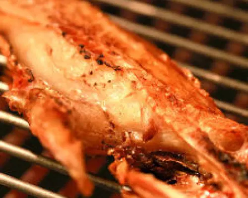 京都府山科日本料理餐廳Sakanaya Riichi（酒肴菜や 利一）|僅座位預定