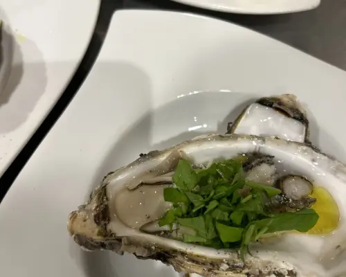 Kanagawa Prefecture Fujisawa / Tsujido | Pasta Bel tempo（ベルテンポ）| Seat Reservation Only