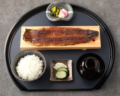 愛知縣、名古屋站前地區| 日本料理鰻魚四代目菊川 (鰻魚四代目菊川 Midland Square 名古屋本店) |僅座位預訂