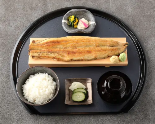 愛知縣、名古屋站前地區| 日本料理鰻魚四代目菊川 (鰻魚四代目菊川 Midland Square 名古屋本店) |僅座位預訂