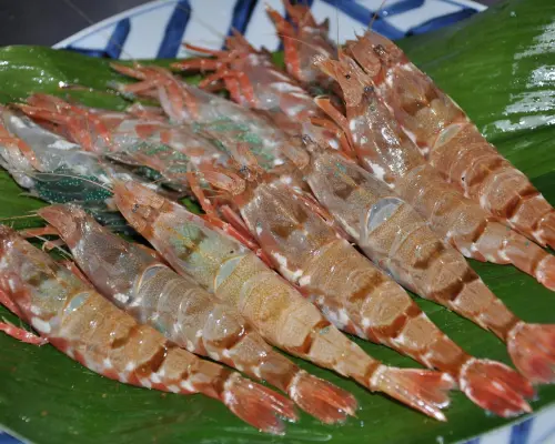 Kanazawa, Ishikawa Prefecture | Local cuisine Ajidokoro Takasaki（味処 高崎）| Seat Reservation Only