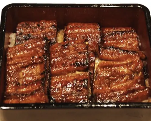 愛知縣榮/矢場町| 海鮮Unagi No Unayasu（うなぎのうな泰 錦店）|僅座位預訂