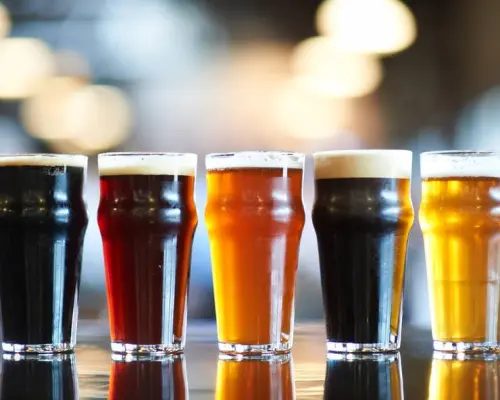 Okazaki, Aichi Prefecture | Pasta Hakkou Ryouri × Craft Beer FaNaKa (Fermented Cuisine × Craft Beer FaNaKa) | Seat Reservation Only