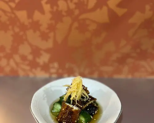 사이타마현 고시가야/소카 | 긴스이 | 좌석 예약 전용