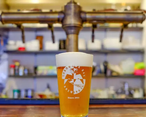 神奈川县关内/伊势佐木町 | 啤酒馆BAY BREWING（ベイブルーイング 関内本店）|仅座位预定