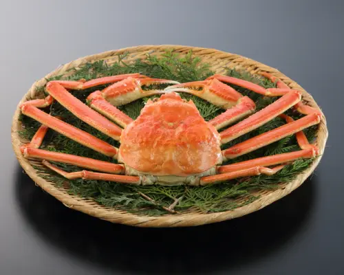 Kashiwa, Chiba Prefecture | Japanese Restaurant Kani Fuku（かに福 柏店）| Seat Reservation Only