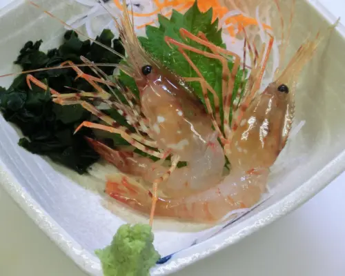 北海道函馆 | 函馆海鲜居酒屋盐酒饺子二代目正荣丸（函馆海鲜居酒屋盐酒饺子第二代 正荣丸） |仅座位预定