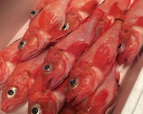 Hokkaido Susukino | Seafood Yaji Ichimonme | Seat Reservation Only