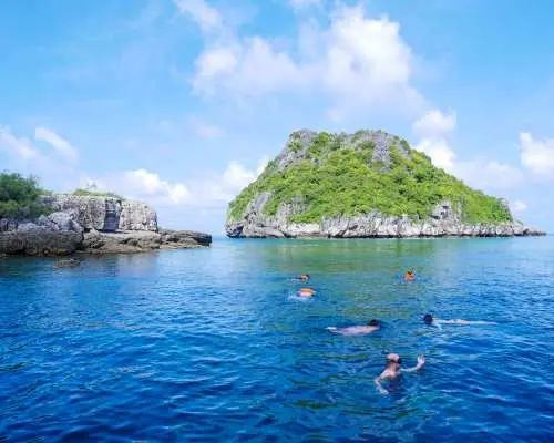 Visitors snorkeling in the clear blue-green waters of Angthong National Marine Park near Koh Samui, closely observing tropical fish and vibrant marine life, exploring the underwater world.