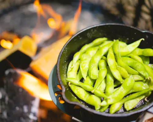 栃木县那须、黑矶 | BBQ Glamping Cafe & BBQ Takibi |仅座位预訂